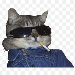 Cool Cat Dude
