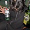 RUKITO