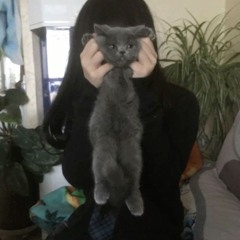 luvstr