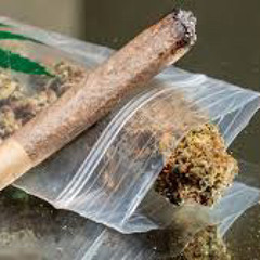 J~ 513 🍁