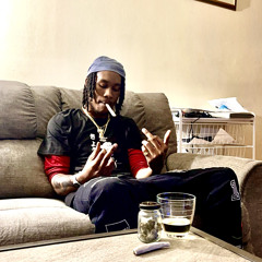 Baby Capo