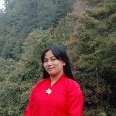 pema dem