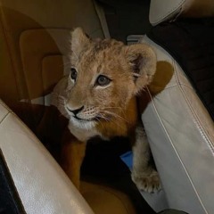 ファハド チャウダリ