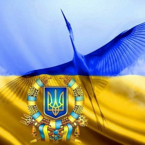 Ukraine Music’s avatar