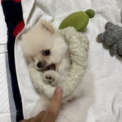 어그래 형이야