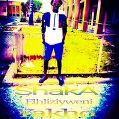 Shaka Ngane Ya KwaZulu