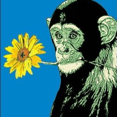 steve on the beat lets eat