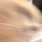 はるま