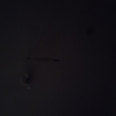 Mr. D.A.D GRIND MUSIC