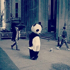 ياسمين محمد