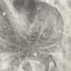 sebastian_karvay