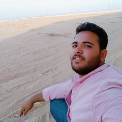 Muhammad Abdelmwla