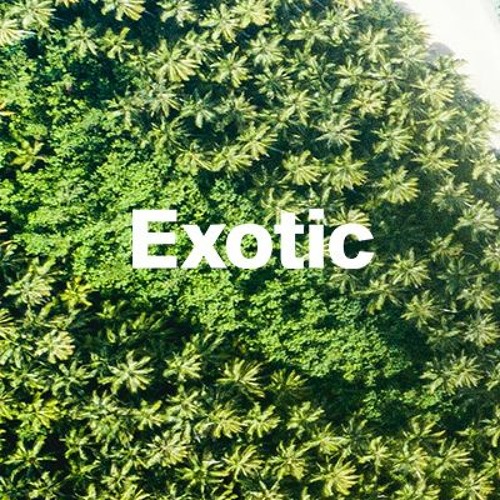 Exotic Sounds’s avatar