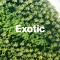 Exotic Sounds