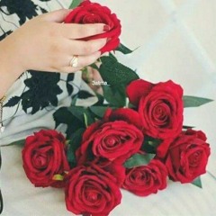 Syed Ahmad Zaidi