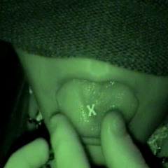 CrystalM