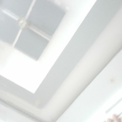 diocat