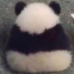 Chin