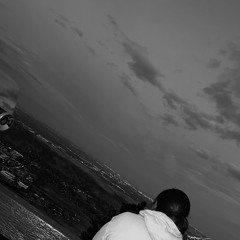msdils03