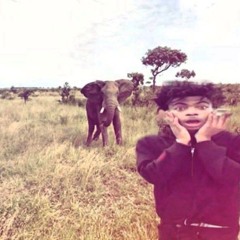 анхнтед нах