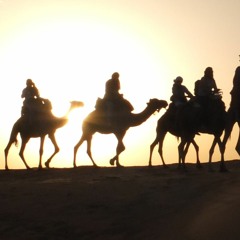 Nomad Spirit