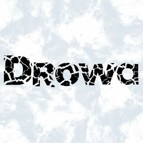 Drowa’s avatar