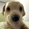 yvngfuzzy!