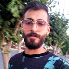 Ramin Heydari