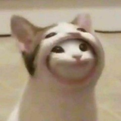 Бакуров Тимофей