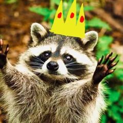 TheKingRacc