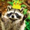 TheKingRacc