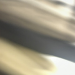 伊藤スペシャル
