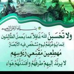 محمد رضا عبد المجيد