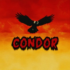 CONDOR 🔥