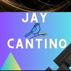 Jay Cantino