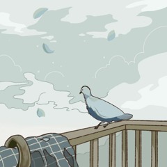 Dove on my Balcony