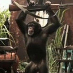 Ape with AK-47