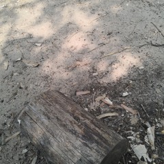 Toz Ltz