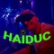 DJ haiduc