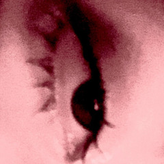 ffznnksks