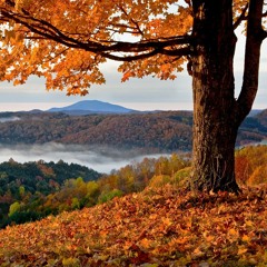 Something In The Way Cover