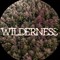 Wilderness Agency