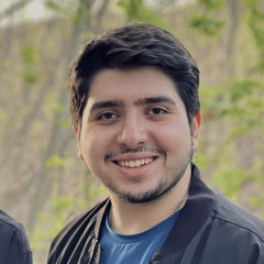 Taha Najafi