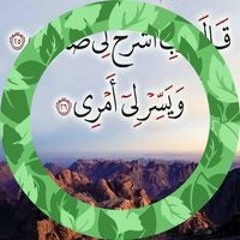 مصطفي منصور