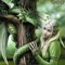 Ellaluby
