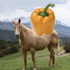 Rofłcøpter