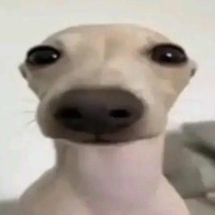 SamTheDragxn