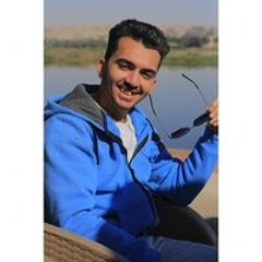 Moustafa M Osman