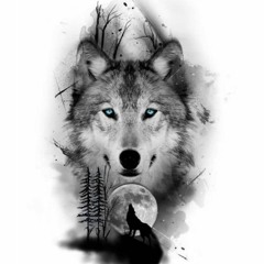 wolf atlanta
