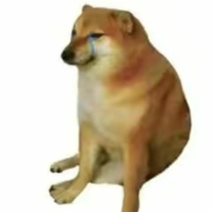 doggy_mit_dem_doggo_656